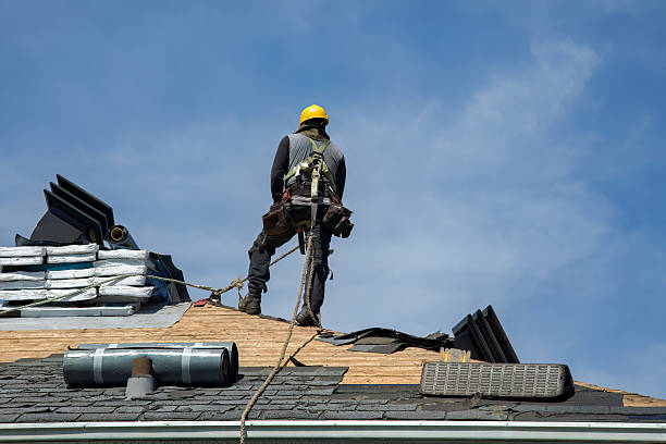 Professional Roofing technician working in Rosalie, NE